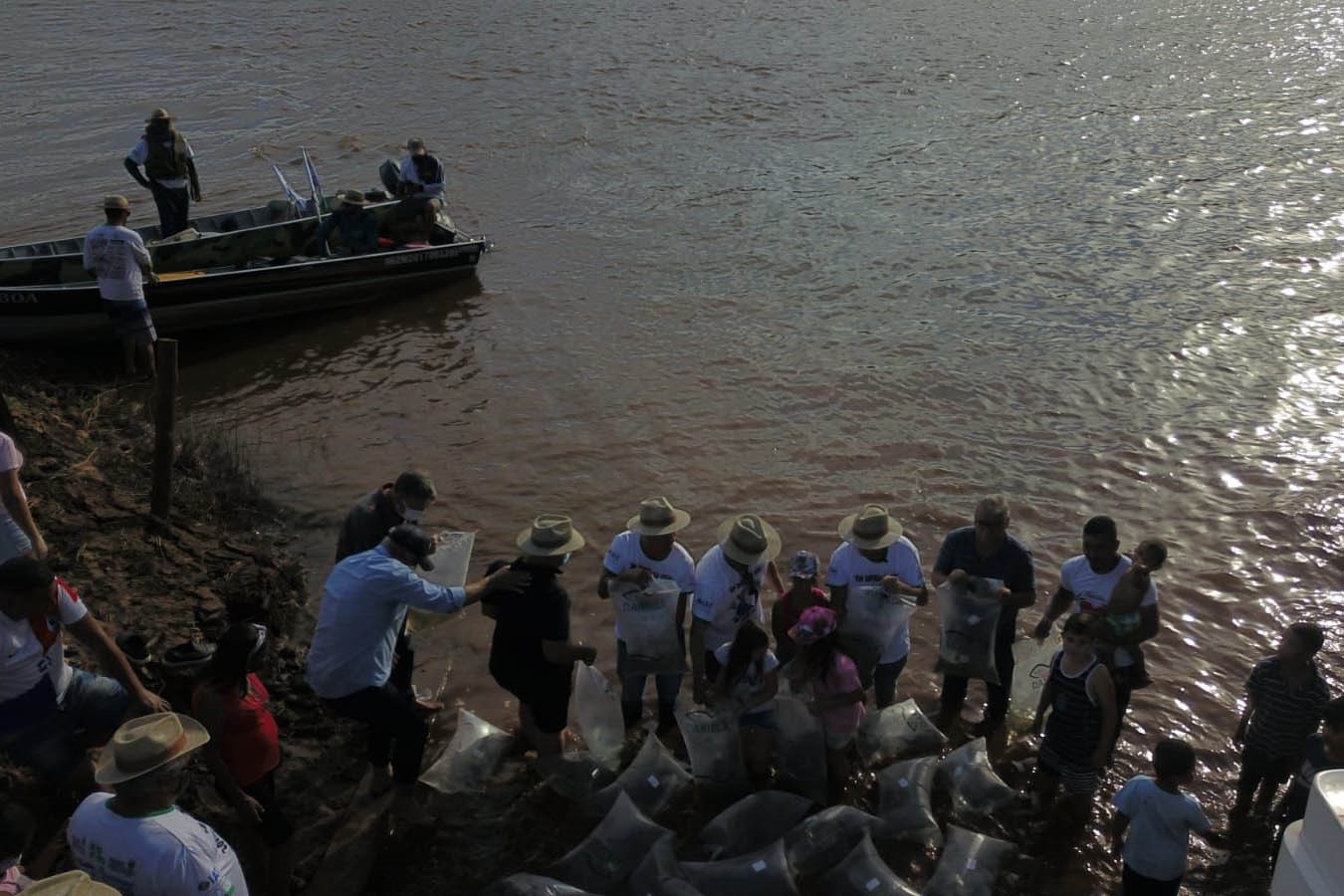 O Estado investe R$ 978 mil em aquisição de peixes. Foto: Alessandro Vieira/SEDEST