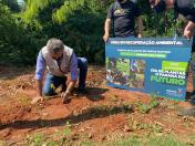 Paraná Mais Verde planta 1.500 árvores em Cianorte