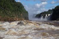 Foz do Iguaçu - Macuco Safari