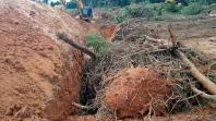 Desmatamento ilegal em São José da Boa Vista