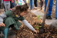 Estado lança material de educação ambiental para ser trabalhado em sala de aula