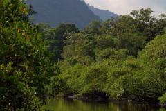 Área de Proteção Ambiental de Guaratuba