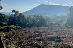 Instituto Água e Terra impede mega desmatamento de Mata Atlântica em São Jerônimo da Serra