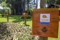 Poliniza Paraná dobra o alcance e chega às Unidades de Conservação do Paraná