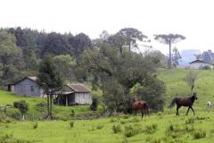IAP orienta proprietários a acompanharem o Cadastro Ambiental Rural