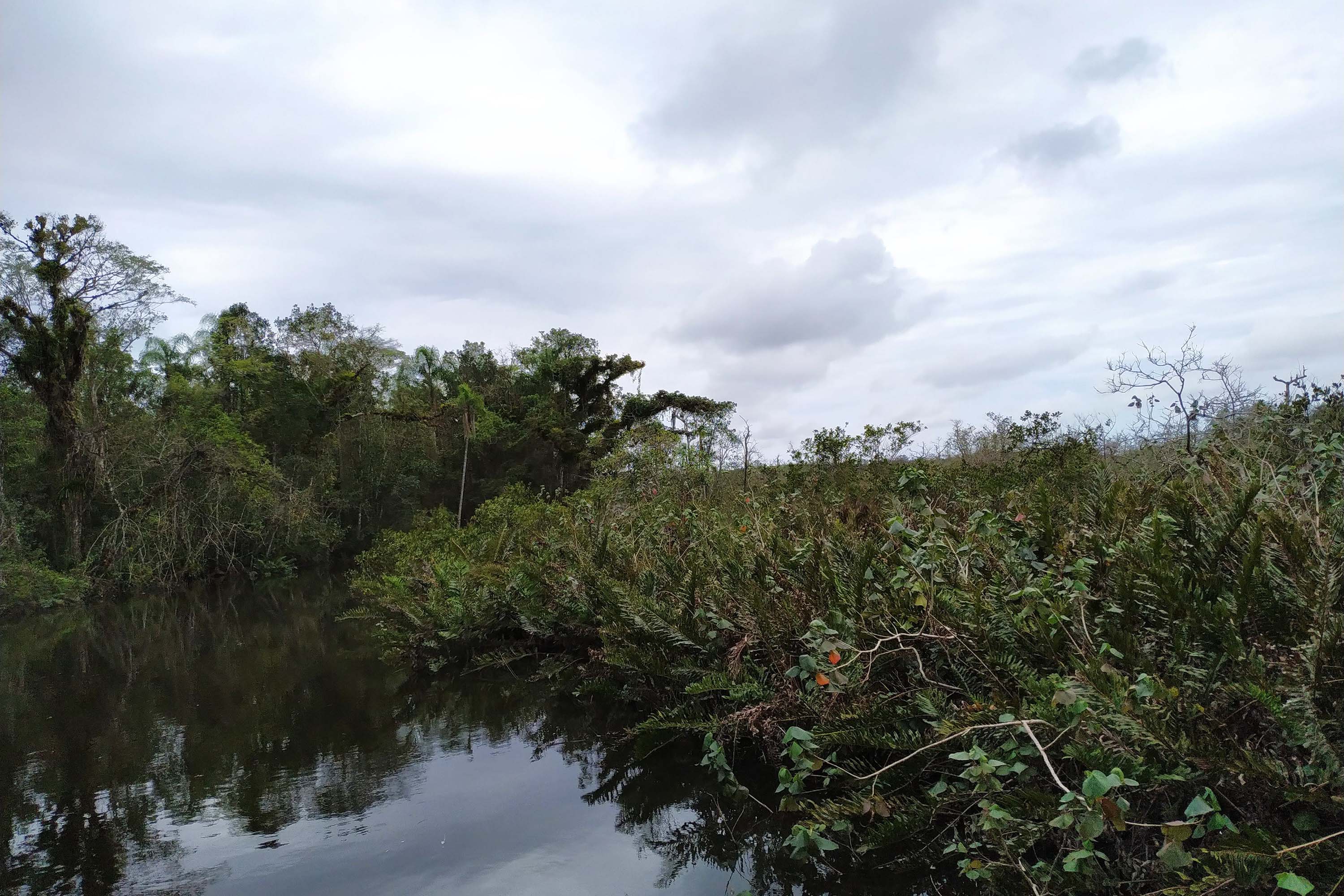 O Paraná é fundamental para a biodiversidade do País. Foto: Sedest
