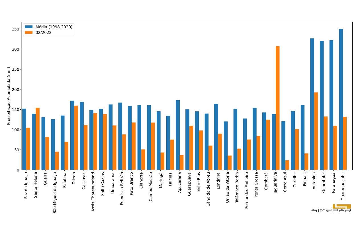 grafico