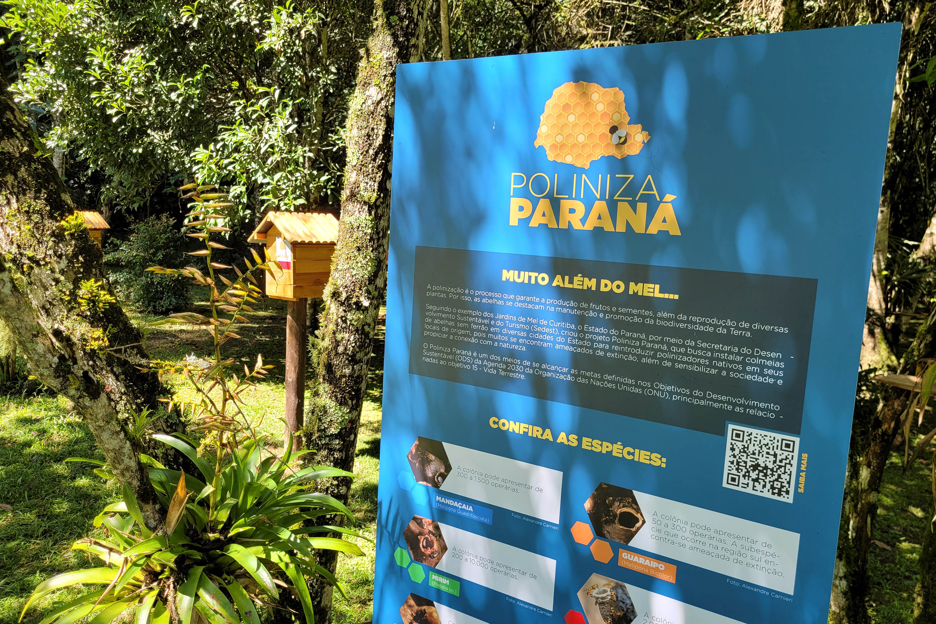 Parque Estadual de Campinhos é a primeira Unidade de Conservação a receber o Poliniza Paraná