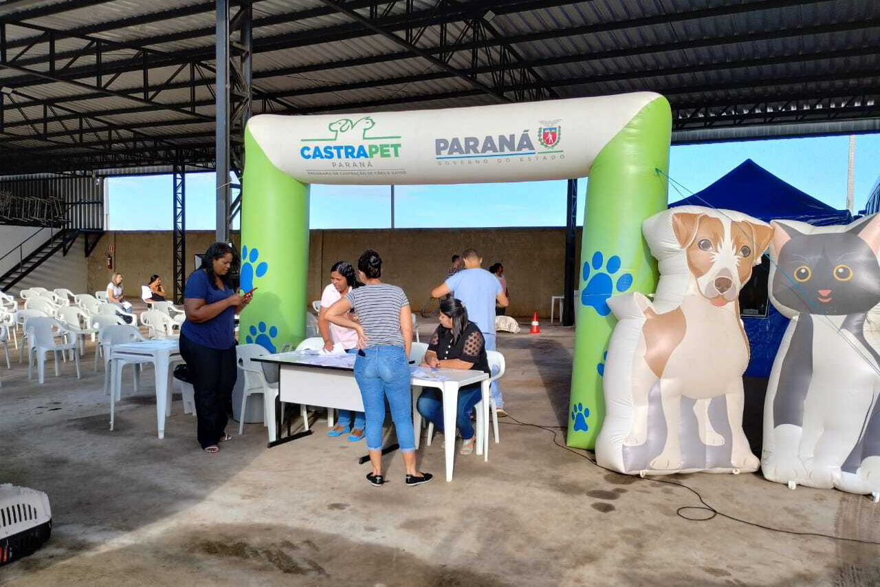 Programa Castrapet Paraná chegará a nove cidades em maio