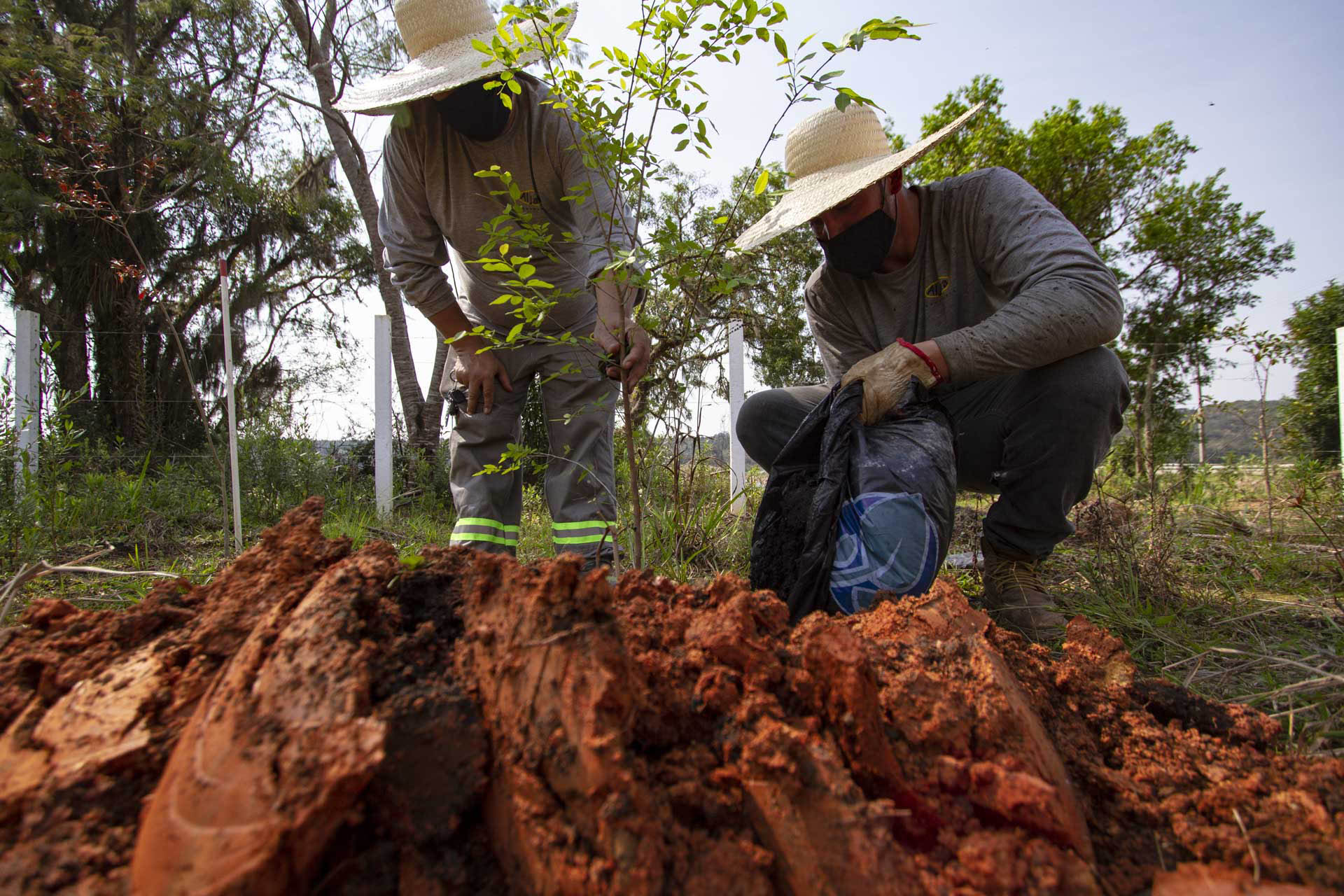 Paraná lidera índice de sustentabilidade do Ranking de Competitividade dos Estados
