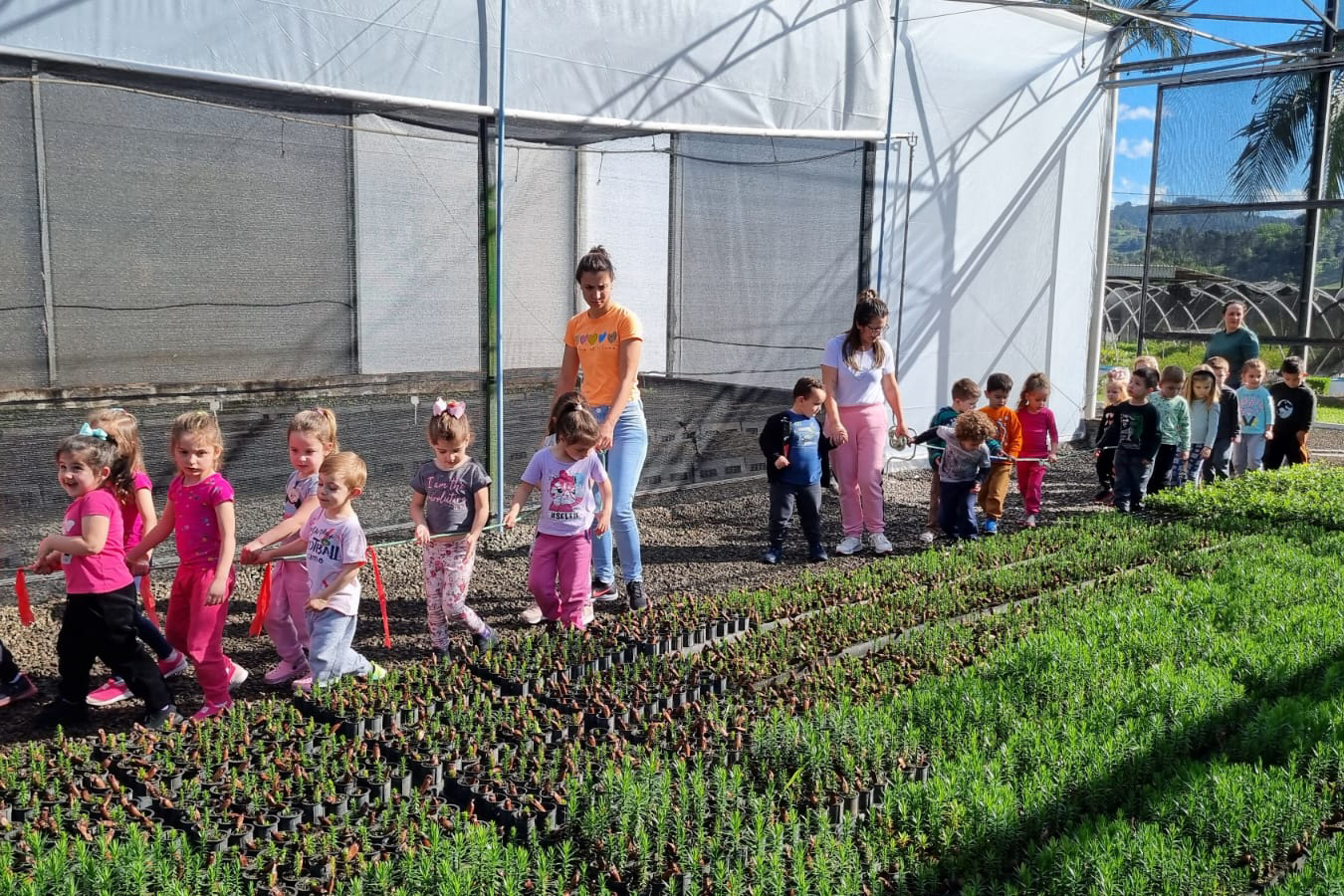 IAT superou em 26% a meta de distribuição de mudas de espécies nativas durante a Semana da Árvore