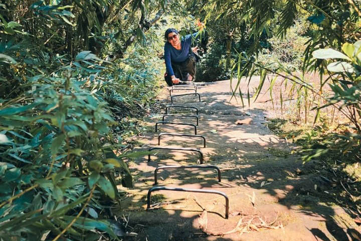 IAT reforça guia de bom comportamento nas Unidades de Conservação do Paraná