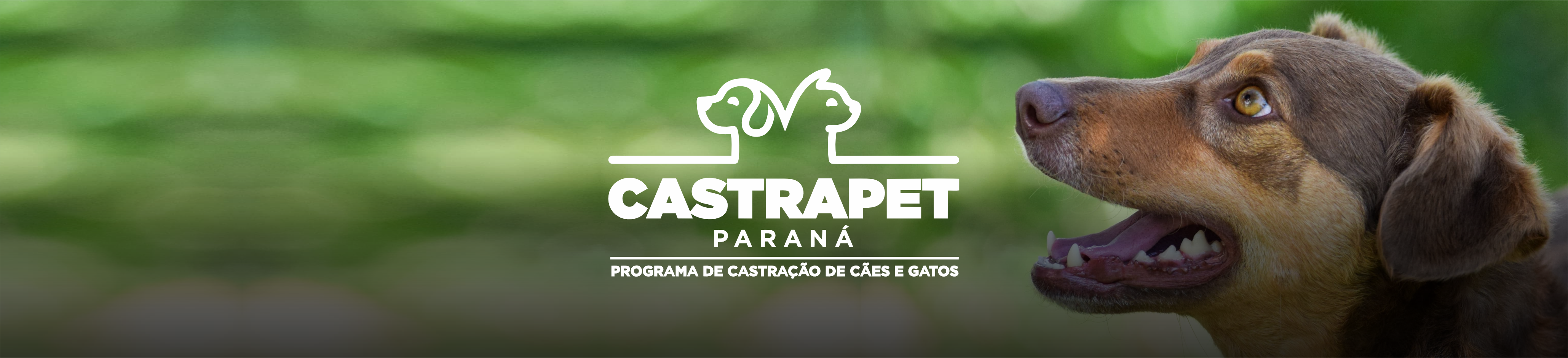 CastraPET