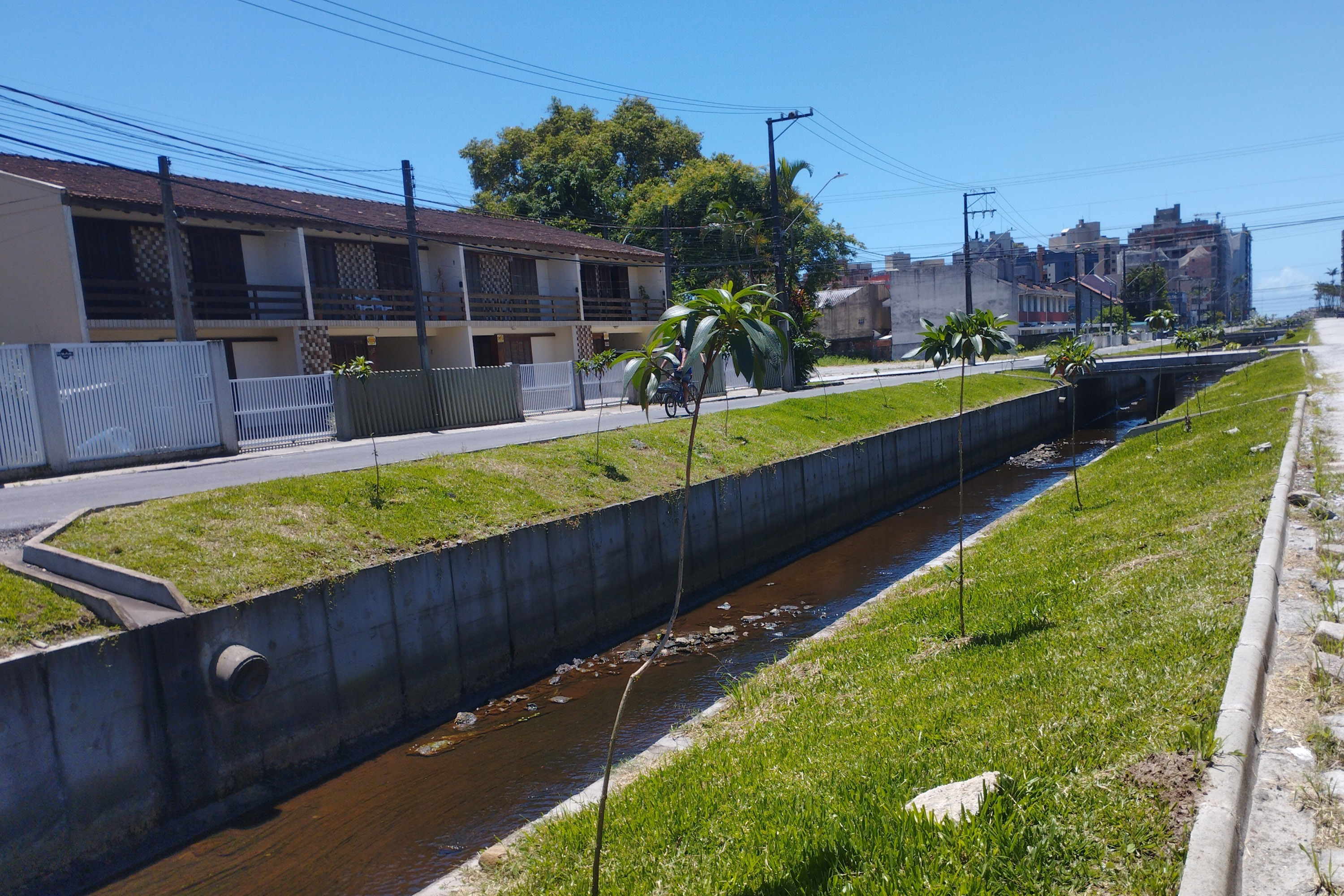 Matinhos: IAT finaliza reflorestamento do Canal da Avenida Paraná com 576 manacás-da-serra