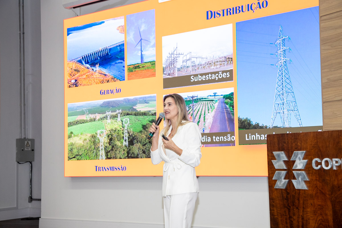Copel e IAT fazem alinhamento técnico para analisar processos de licenciamento ambiental