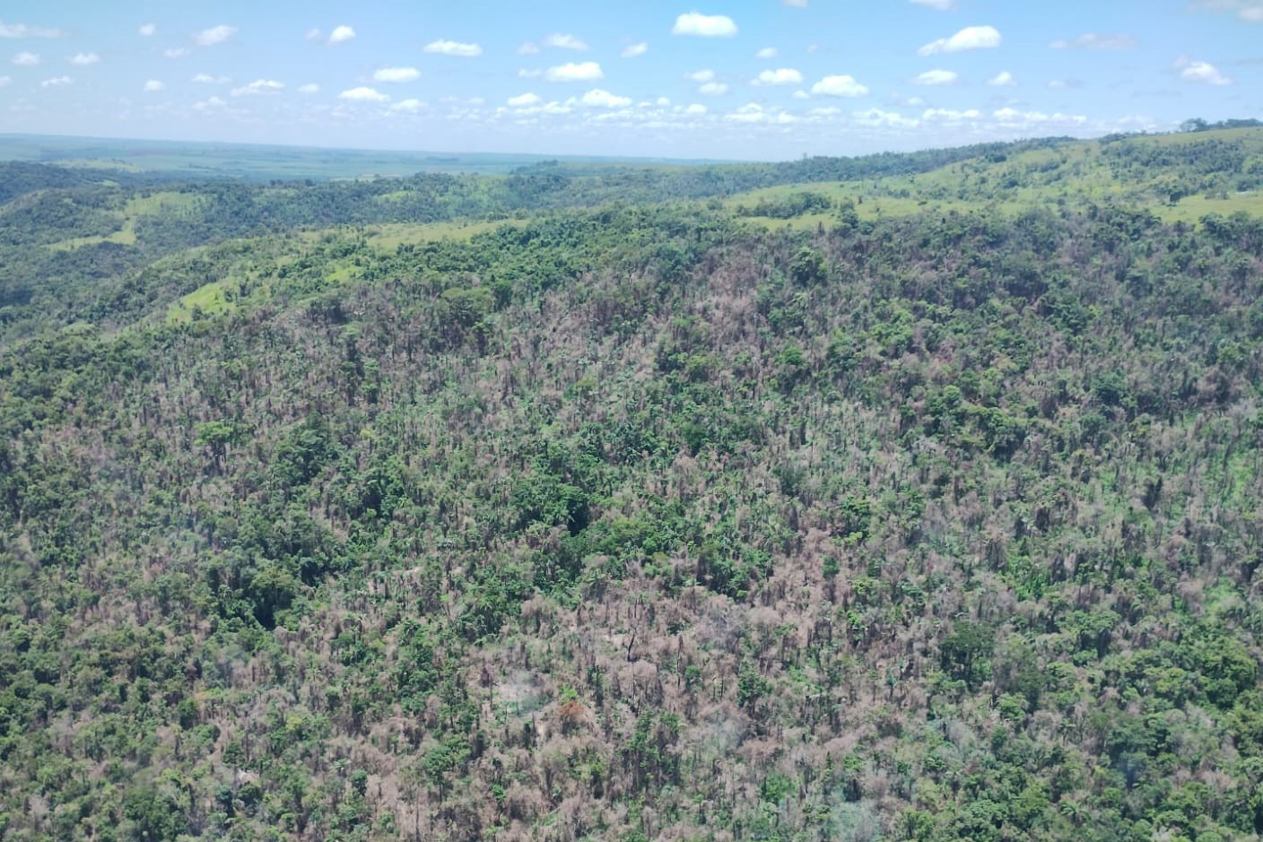 IAT identificou 478 hectares de área de vegetação danificada por fogo em quatro fazendas de Ribeirão Claro, no Norte Pioneiro