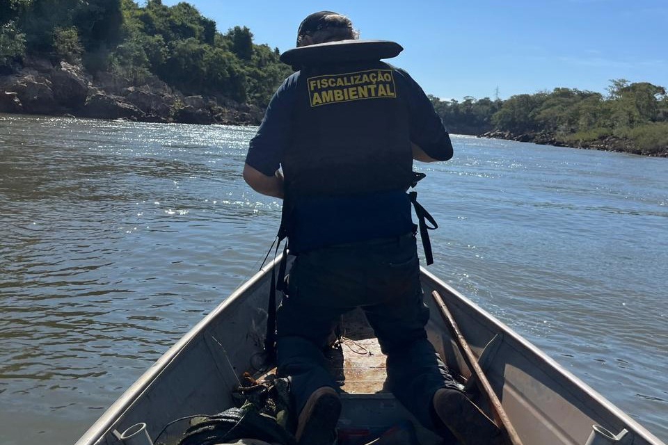 Pesca predatória