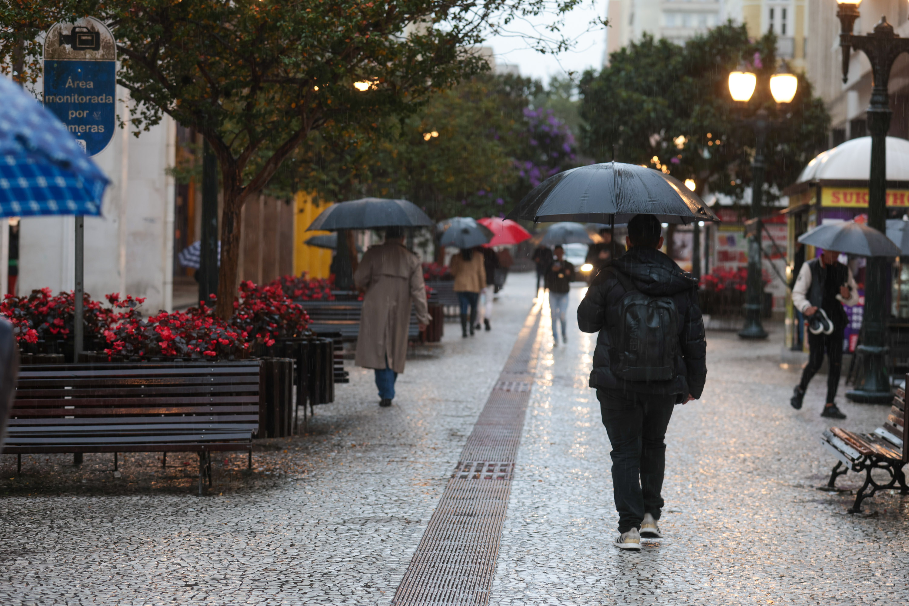 Aviso de temporais: fim de semana será chuvoso no Paraná Foto: Geraldo Bubniak/AEN