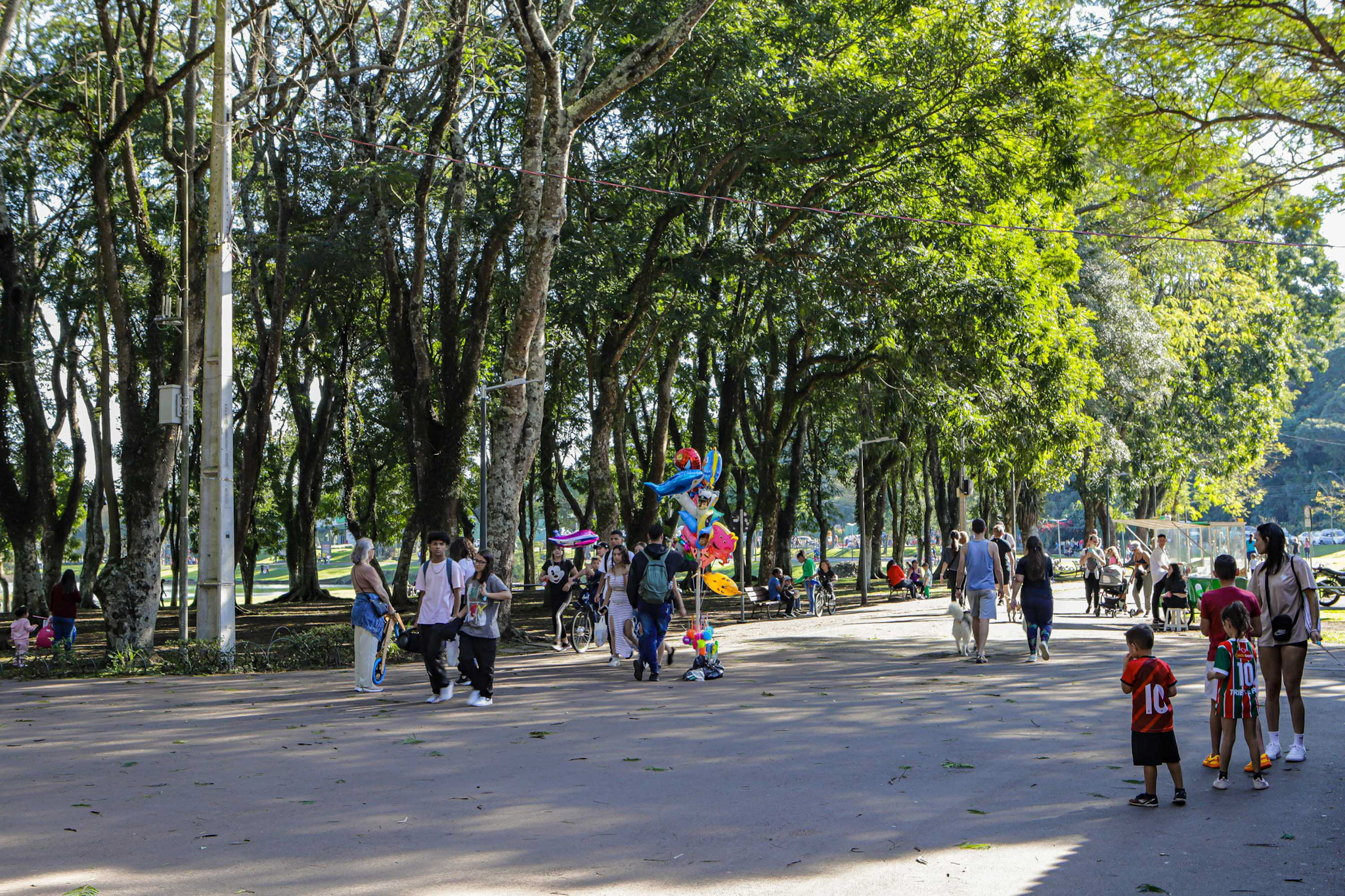 Maio registrou pouca chuva e temperaturas acima da média no Paraná