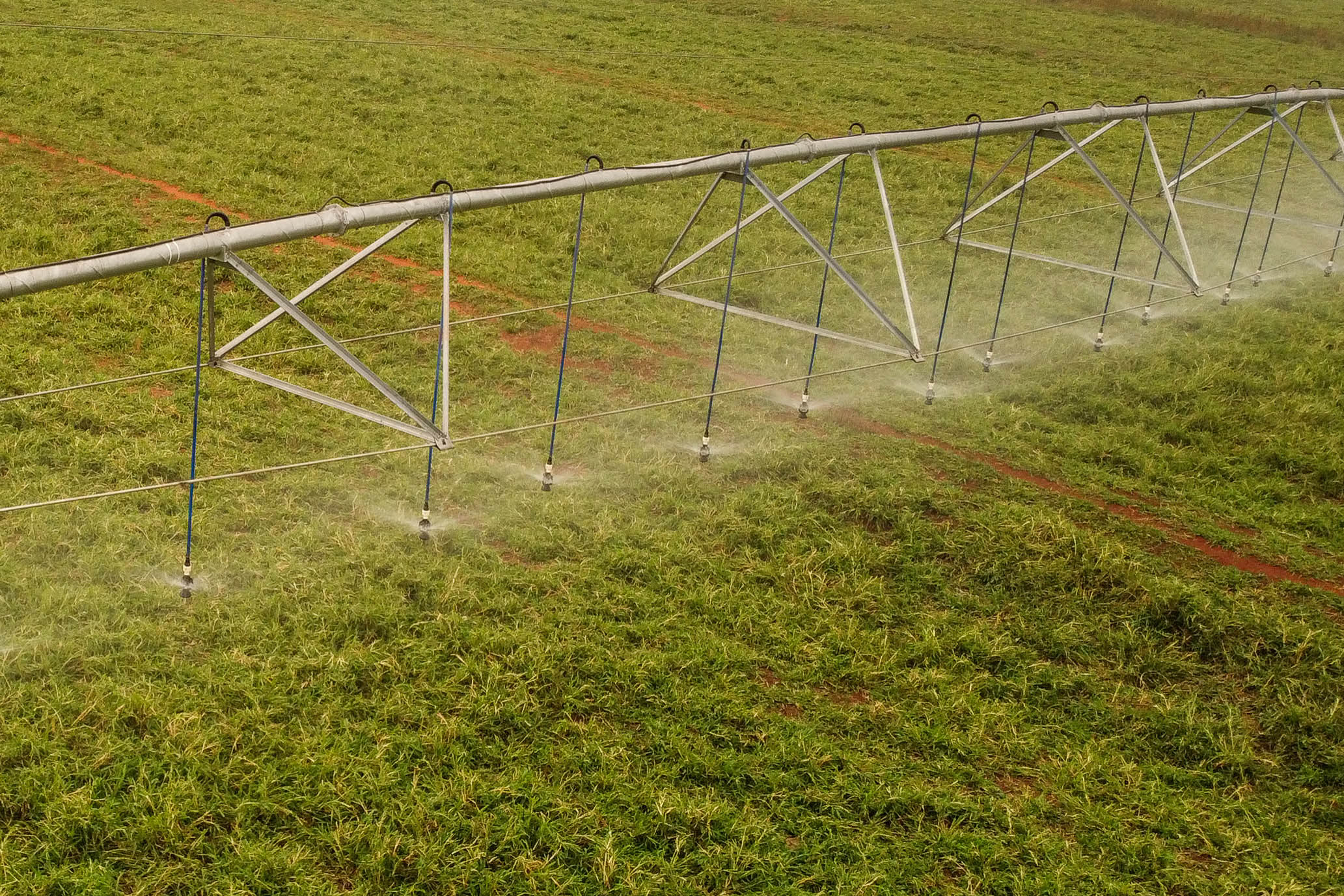 Construção de poços artesianos e implantação de projetos de irrigação são algumas das ações estabelecidas pelo Governo do Paraná para combater a estiagem.