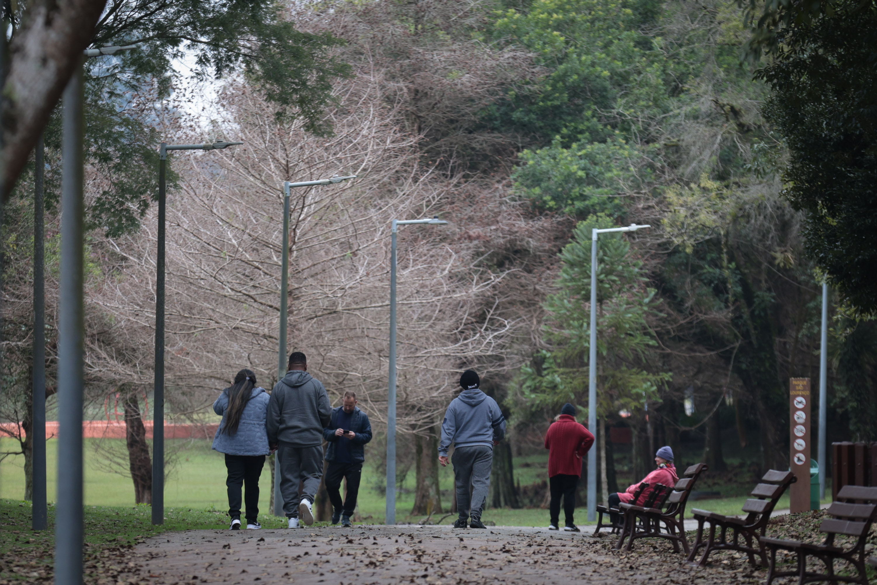 83 horas abaixo de 10°C: Curitiba chegou perto do frio recorde de 2013 nesta semana.