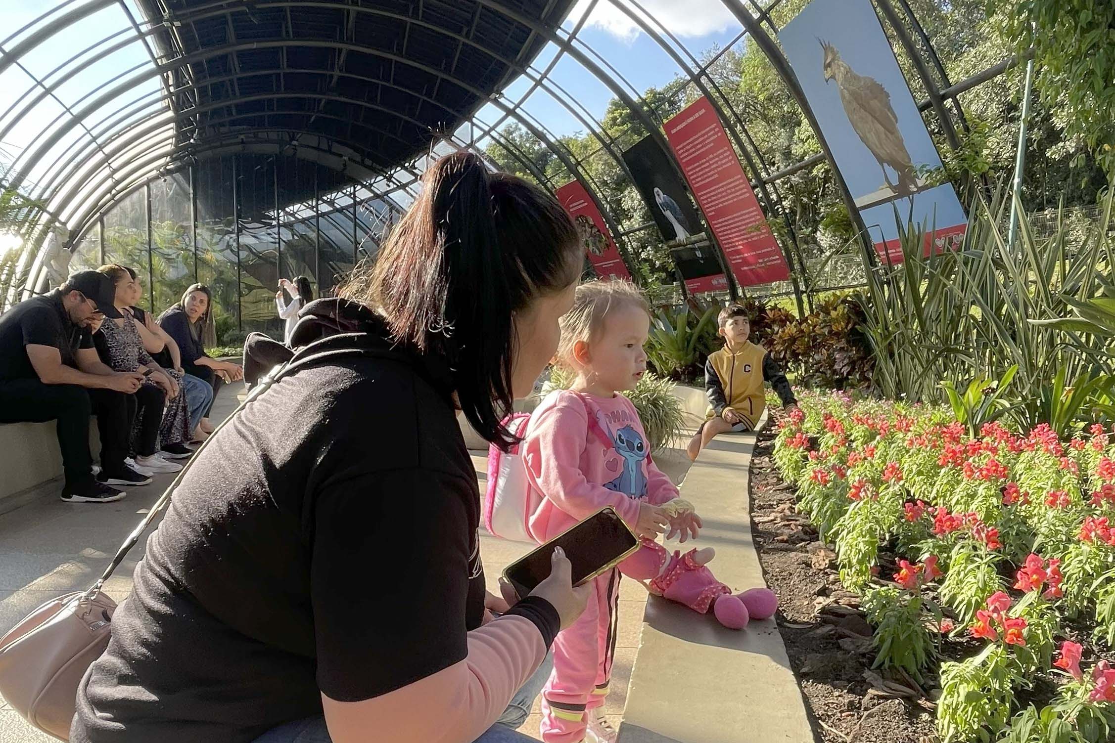Exposição sobre fauna ameaçada atrai turistas ao Jardim Botânico de Curitiba