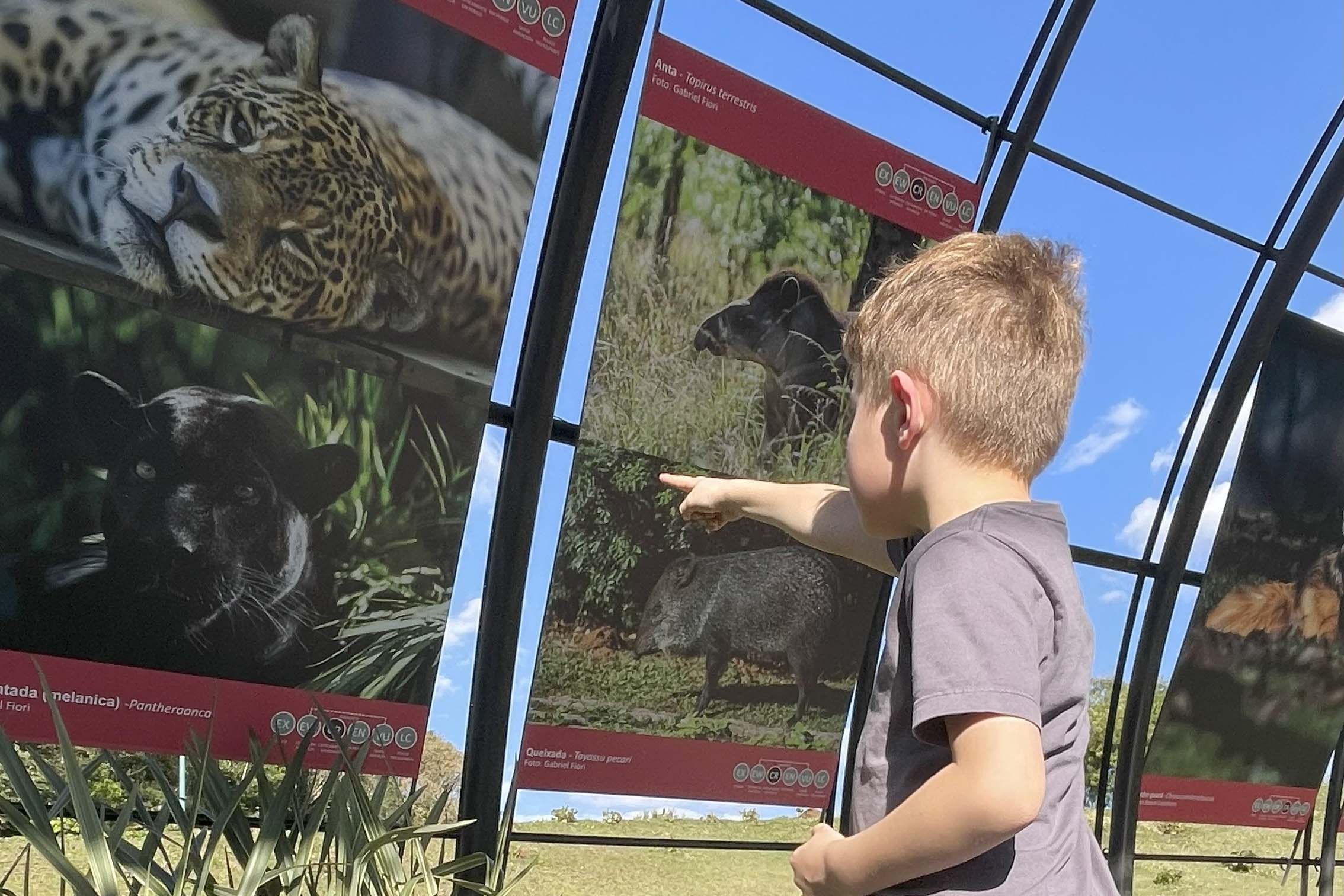 Exposição sobre fauna ameaçada atrai turistas ao Jardim Botânico de Curitiba