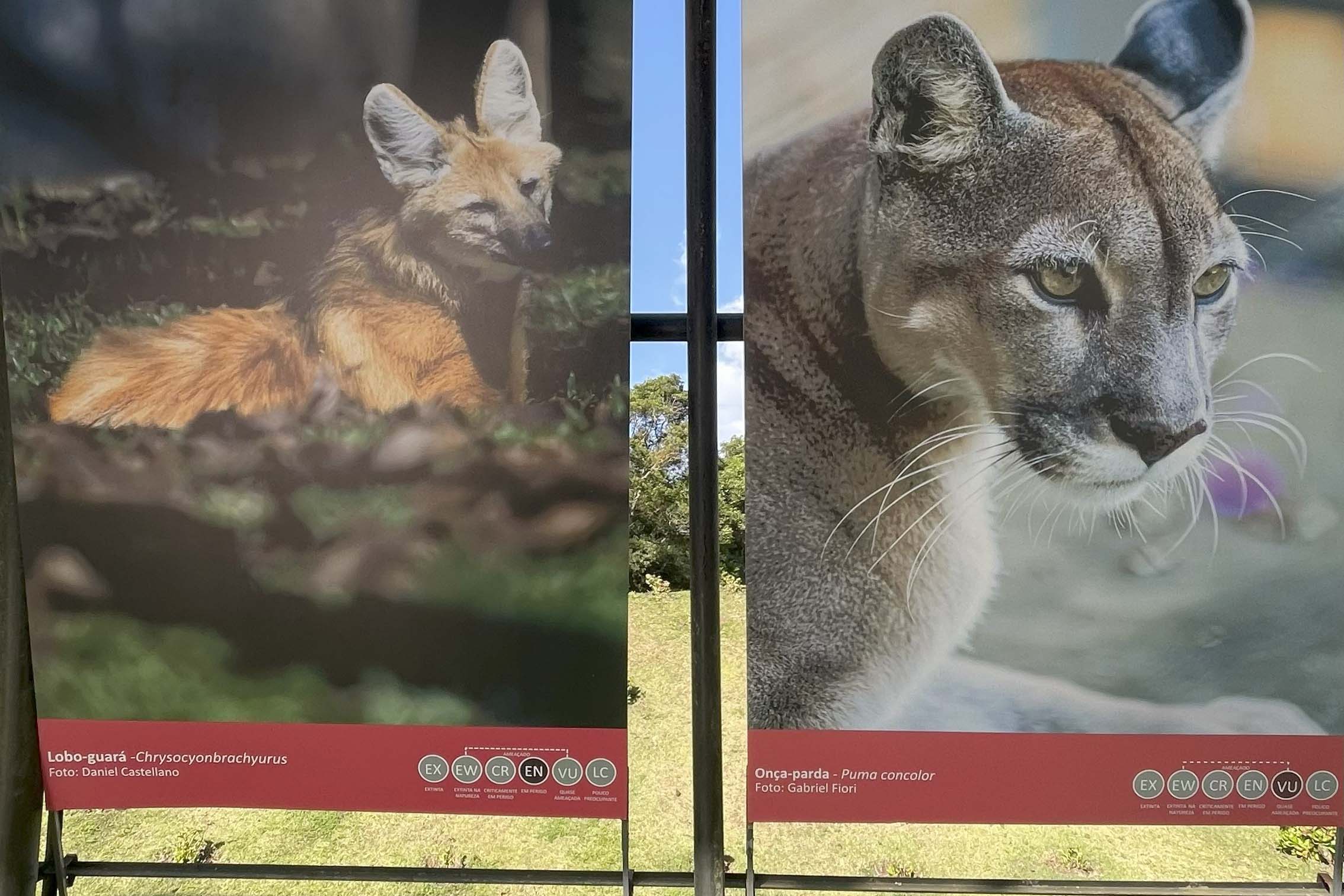 Exposição sobre fauna ameaçada atrai turistas ao Jardim Botânico de Curitiba