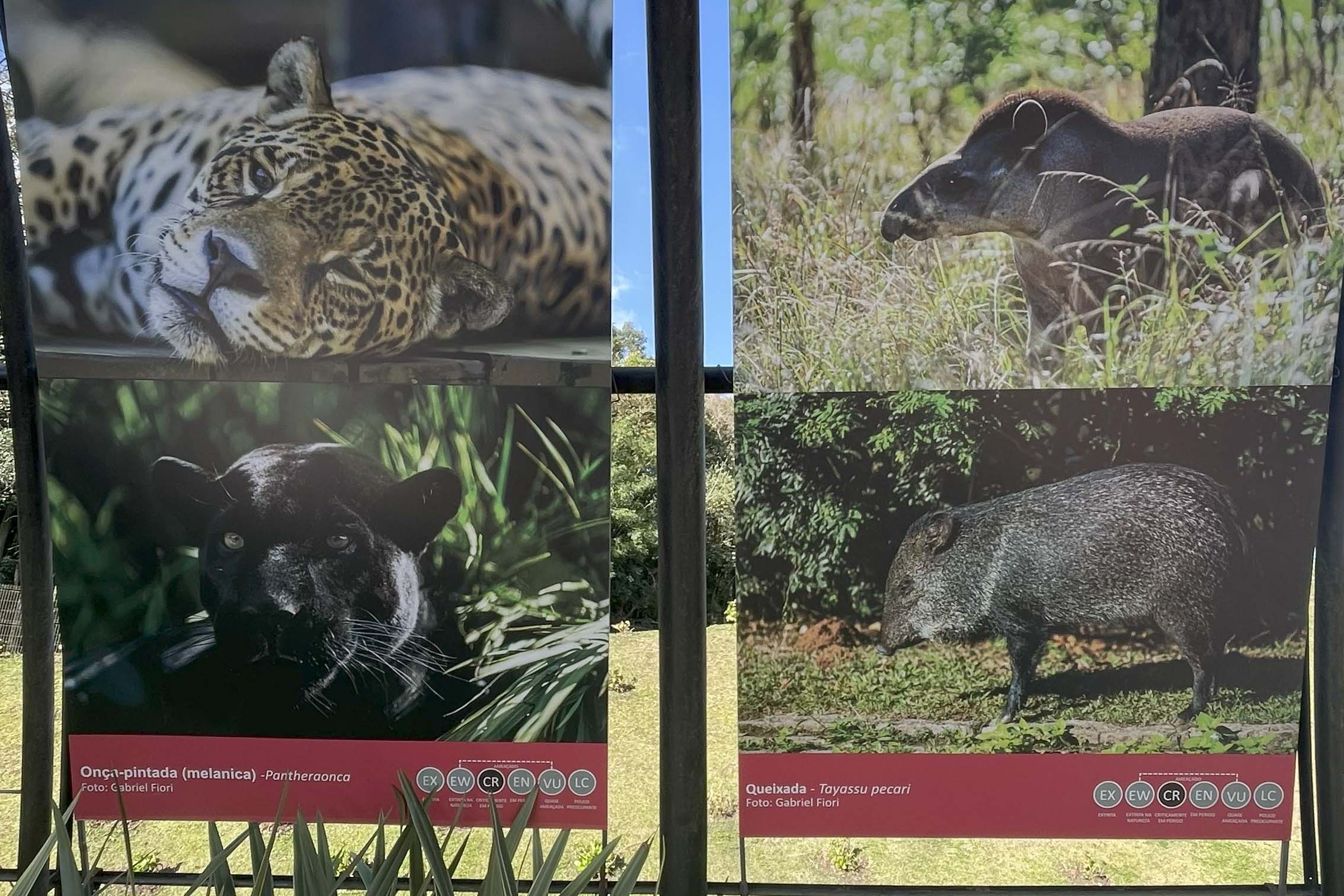 Exposição sobre fauna ameaçada atrai turistas ao Jardim Botânico de Curitiba