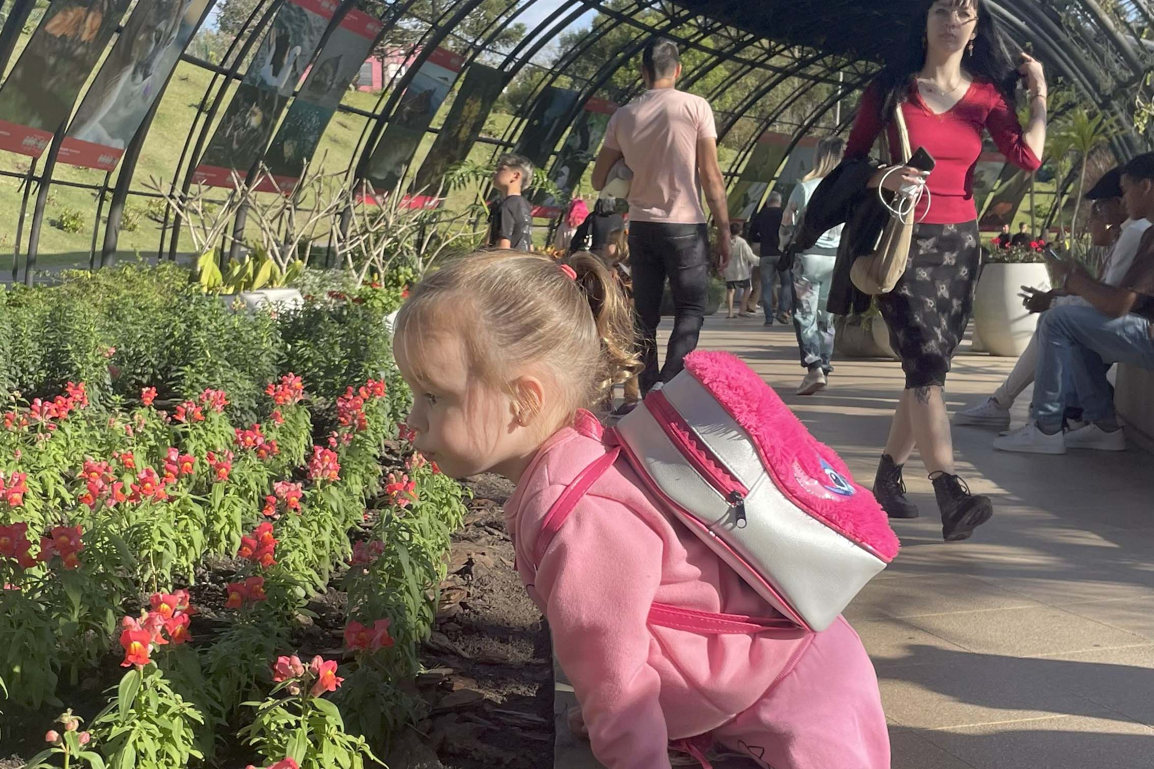 Exposição sobre fauna ameaçada atrai turistas ao Jardim Botânico de Curitiba