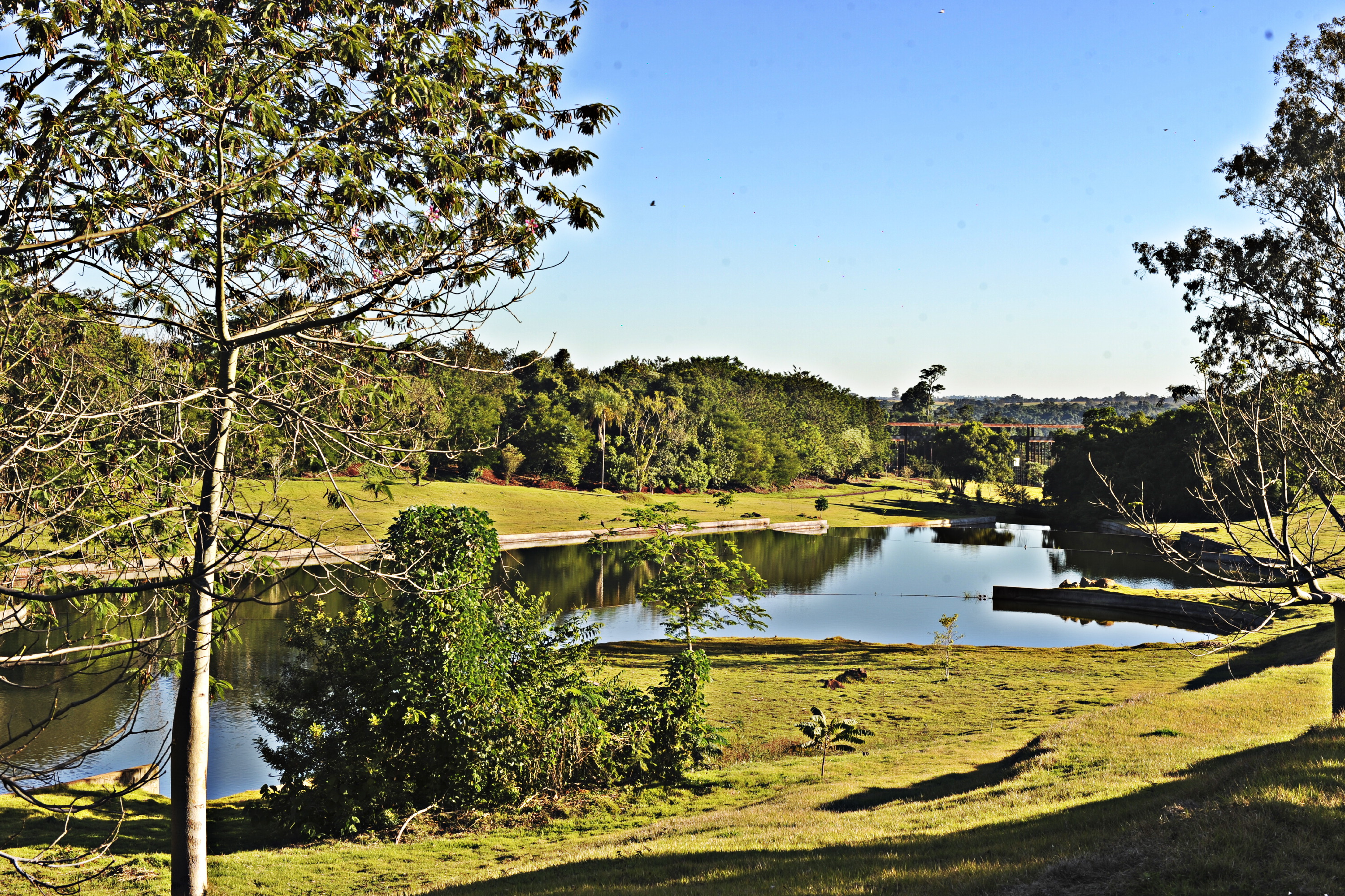 Jardim Botânico de Londrina será revitalizado pelo Governo do Estado