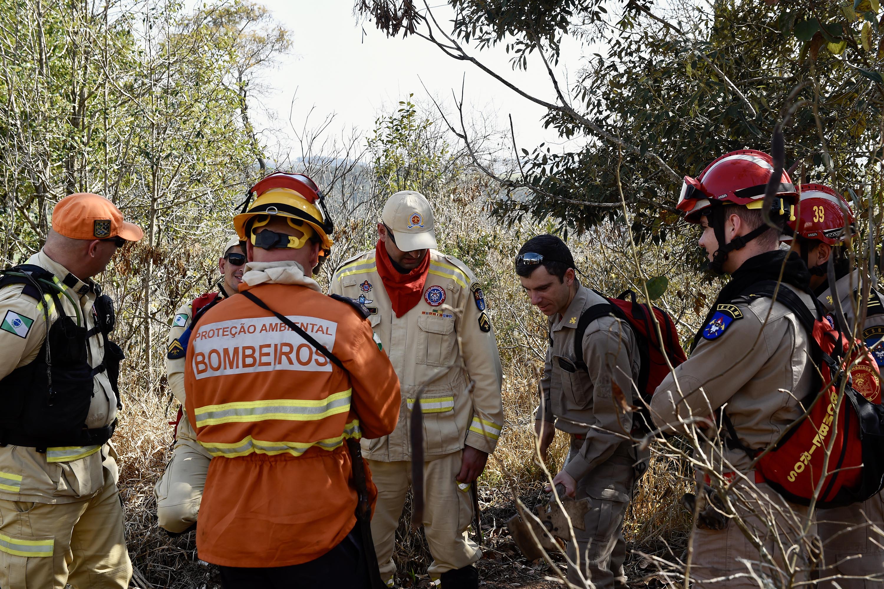IAT promove restauração ambiental do Parque do Cerrado por meio da queima controlada