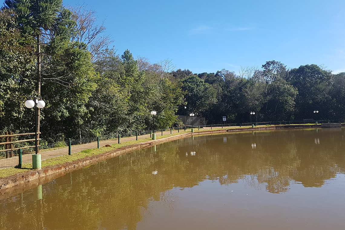 Natureza em Mato Rico (PR)