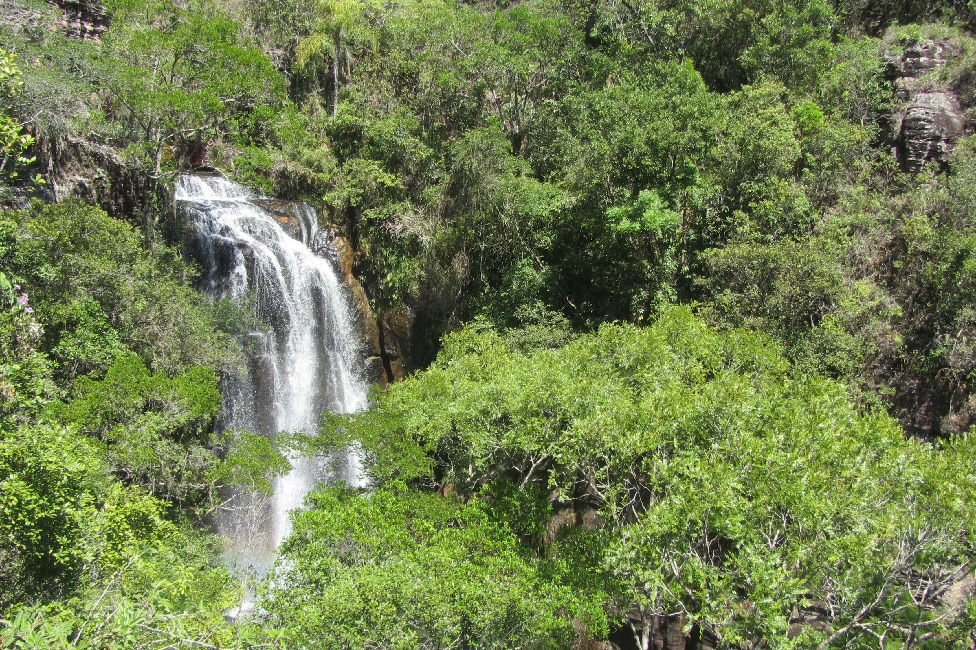 edital de créditos de biodiversidade do Paraná