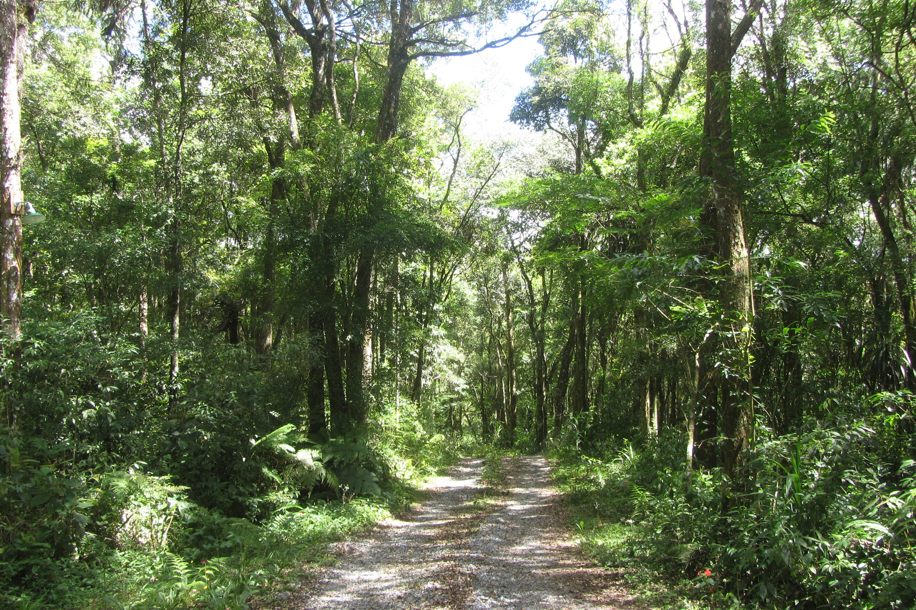 Créditos de Biodiversidade: edital para inscrição de RPPNs vai até 1º de outubro