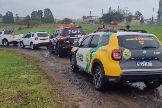 PCPR, PMPR e IAT prendem mulher por tráfico de animais e uso de documentos falsos em Guarapuava Foto: PCPR