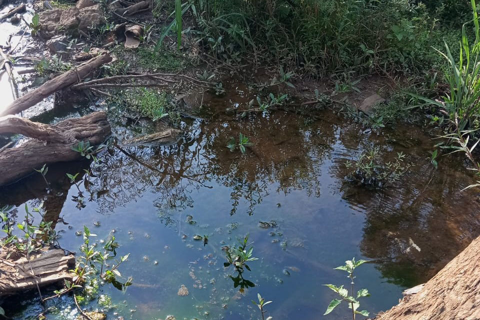 Instituto Água e Terra multou em R$ 25 mil a prefeitura de Cruz Machado pela utilização irregular de equipamentos do município para a prática de crimes ambientais