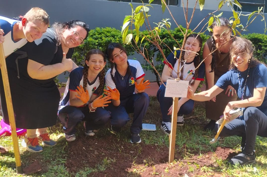 Paraná supera em 20% a distribuição de mudas nativas durante a Semana da Árvore