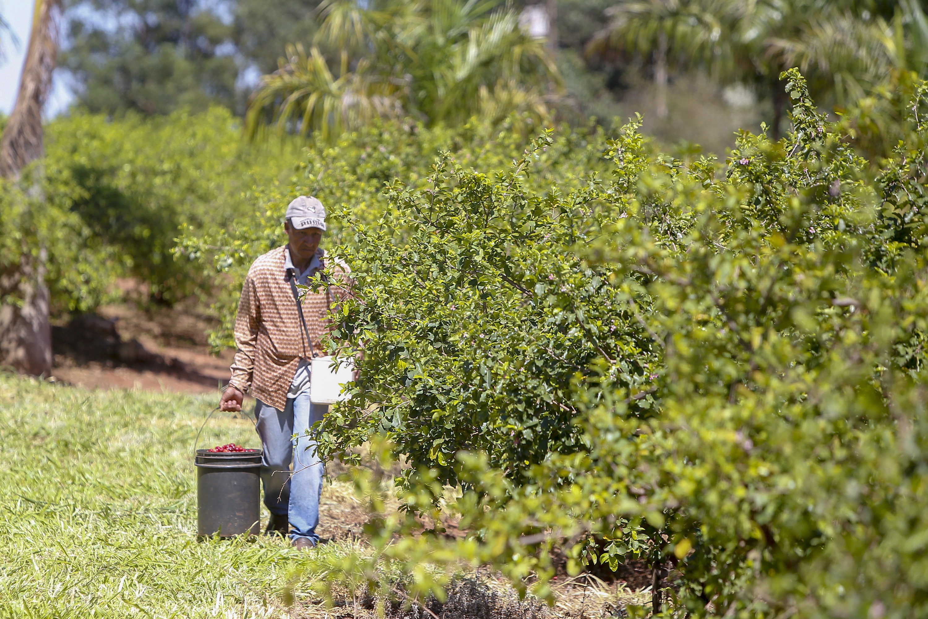 Paraná tem planos estratégicos para agricultura sustentável, segurança hídrica e descarbonização