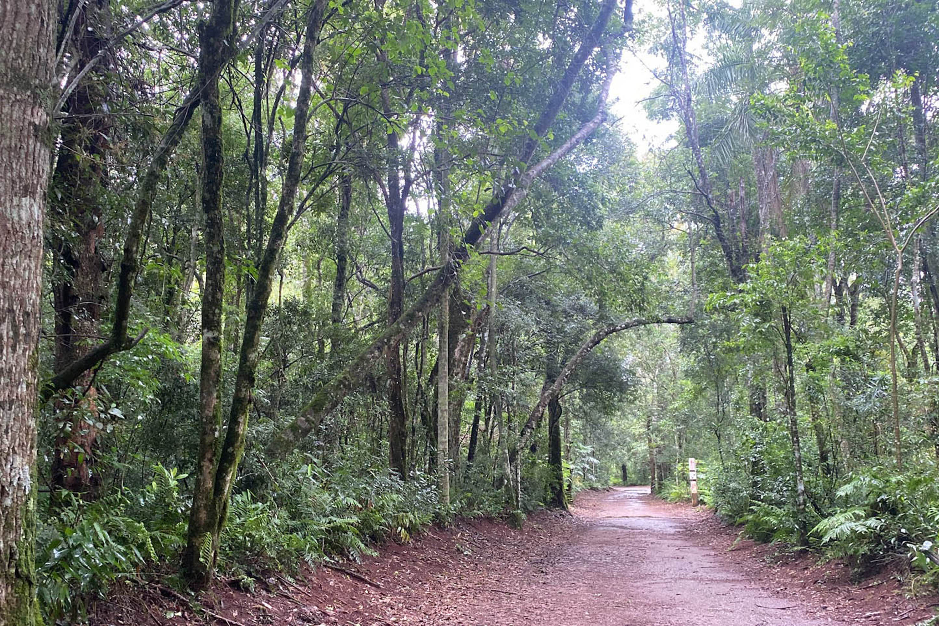 Da maior à mais aquática: um tour sobre as curiosidades das Unidades de Conservação