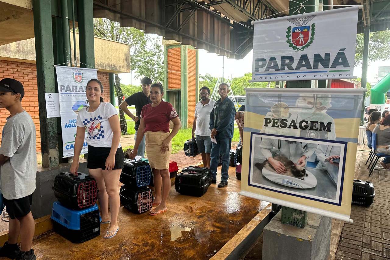 CastraPet Paraná: Estado reforça cuidados prévios para a esterilização de cães e gatos