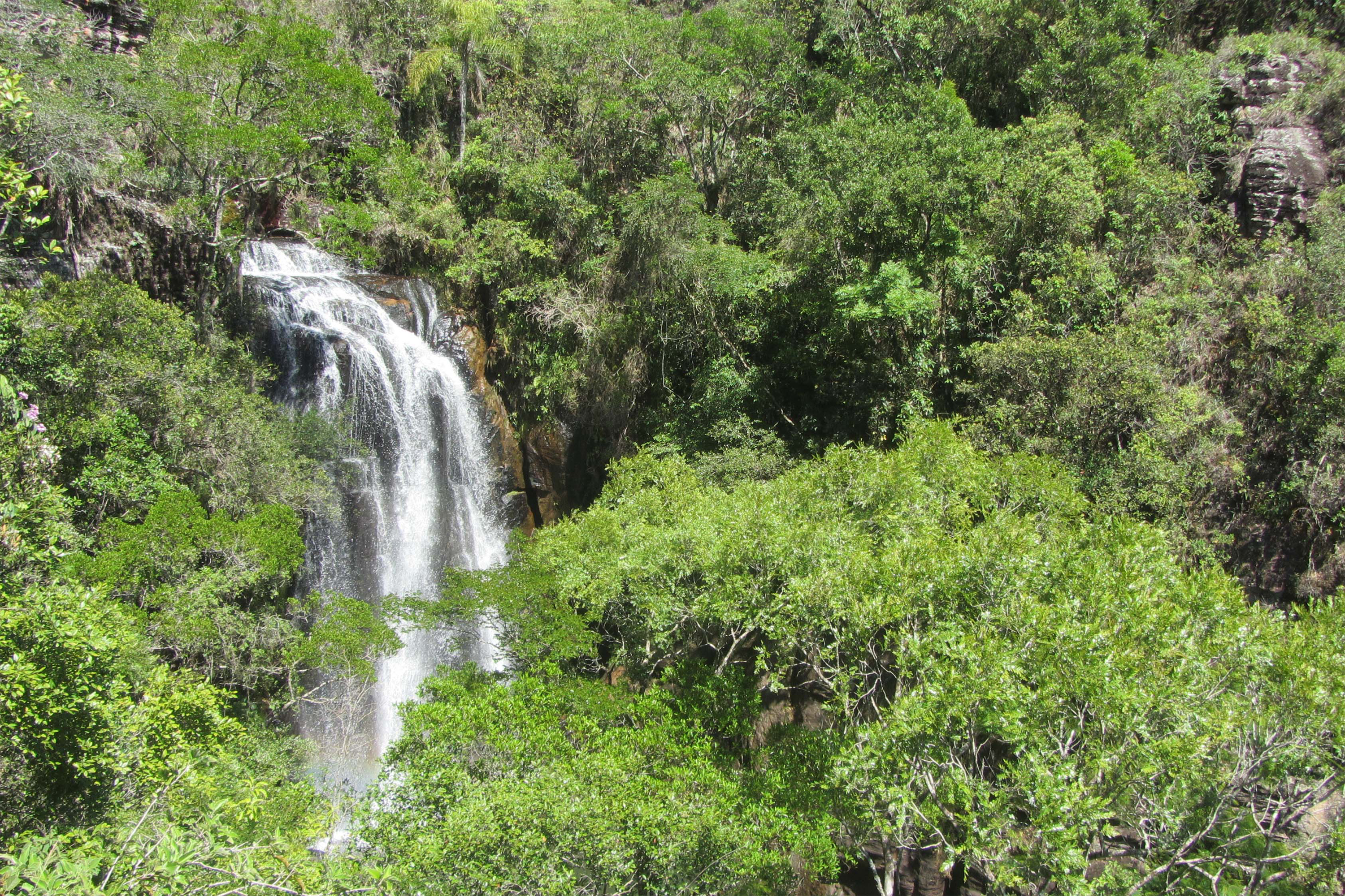 Estado divulga relação final de reservas naturais do edital de créditos de biodiversidade