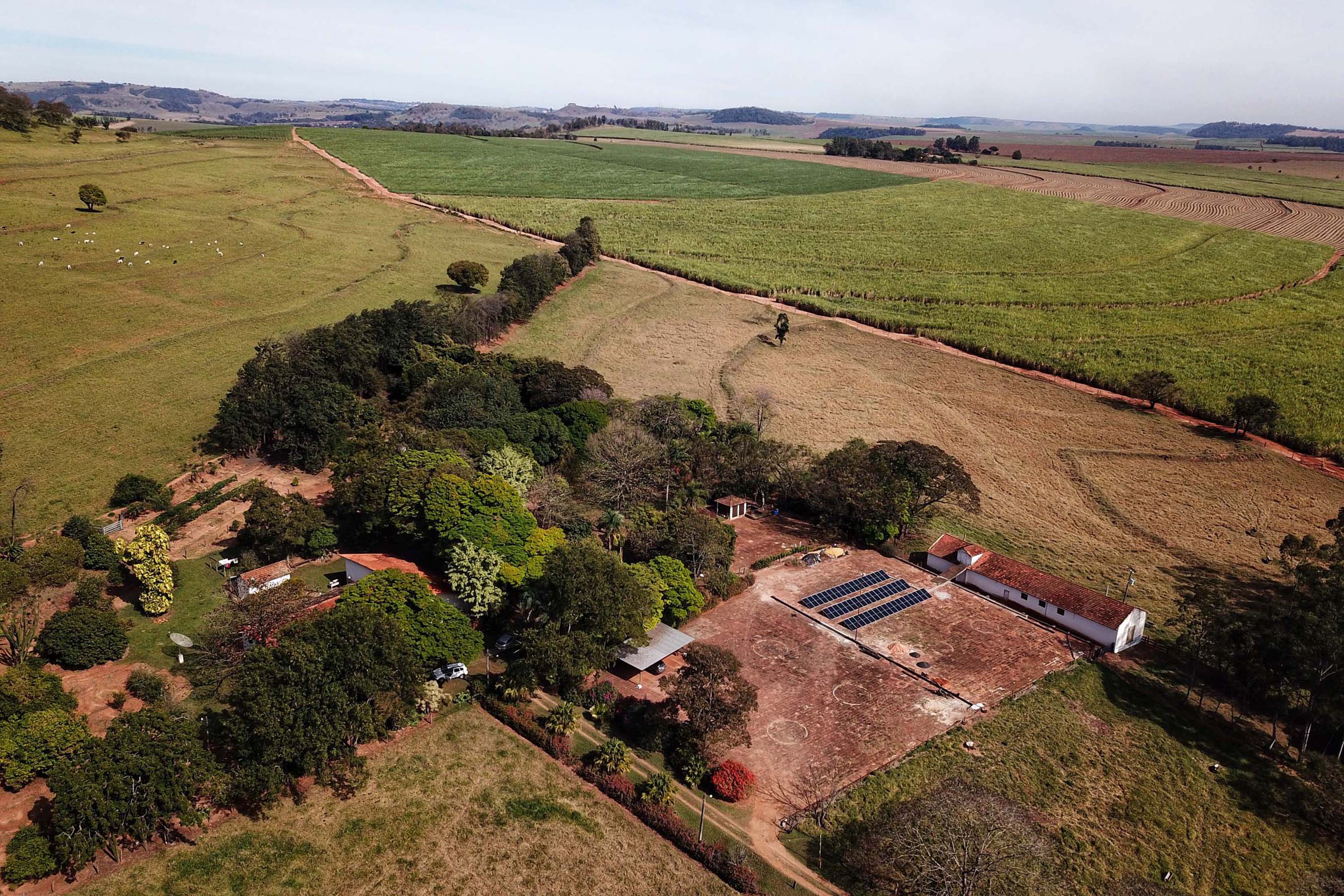 Governo obtém vitória definitiva no TRF4 para usar cadastro rural com base no Código Florestal 