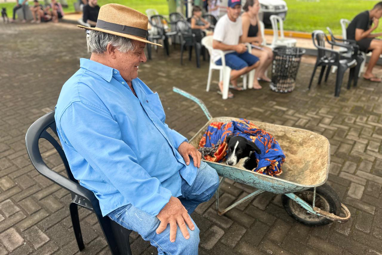 Com destaque para RMC, CastraPet vai beneficiar cães e gatos de 42 municípios em fevereiro