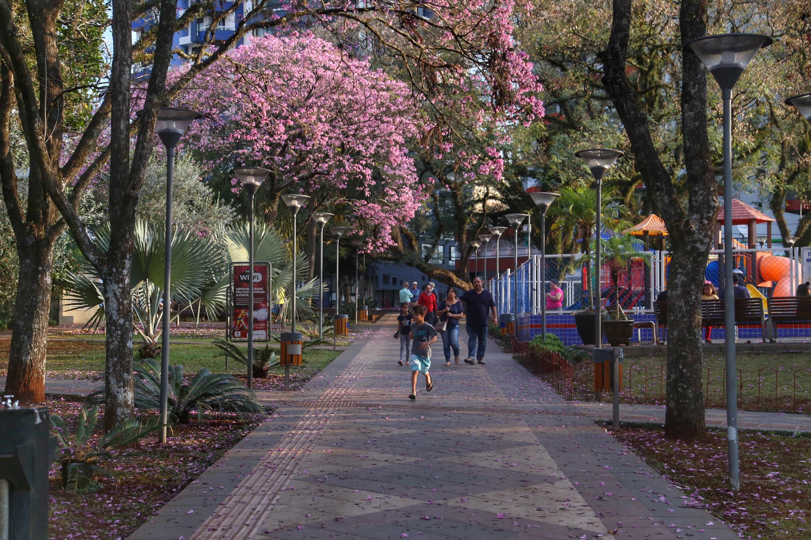 Semana deve ser de muito calor no Paraná com chuva no início do Carnaval