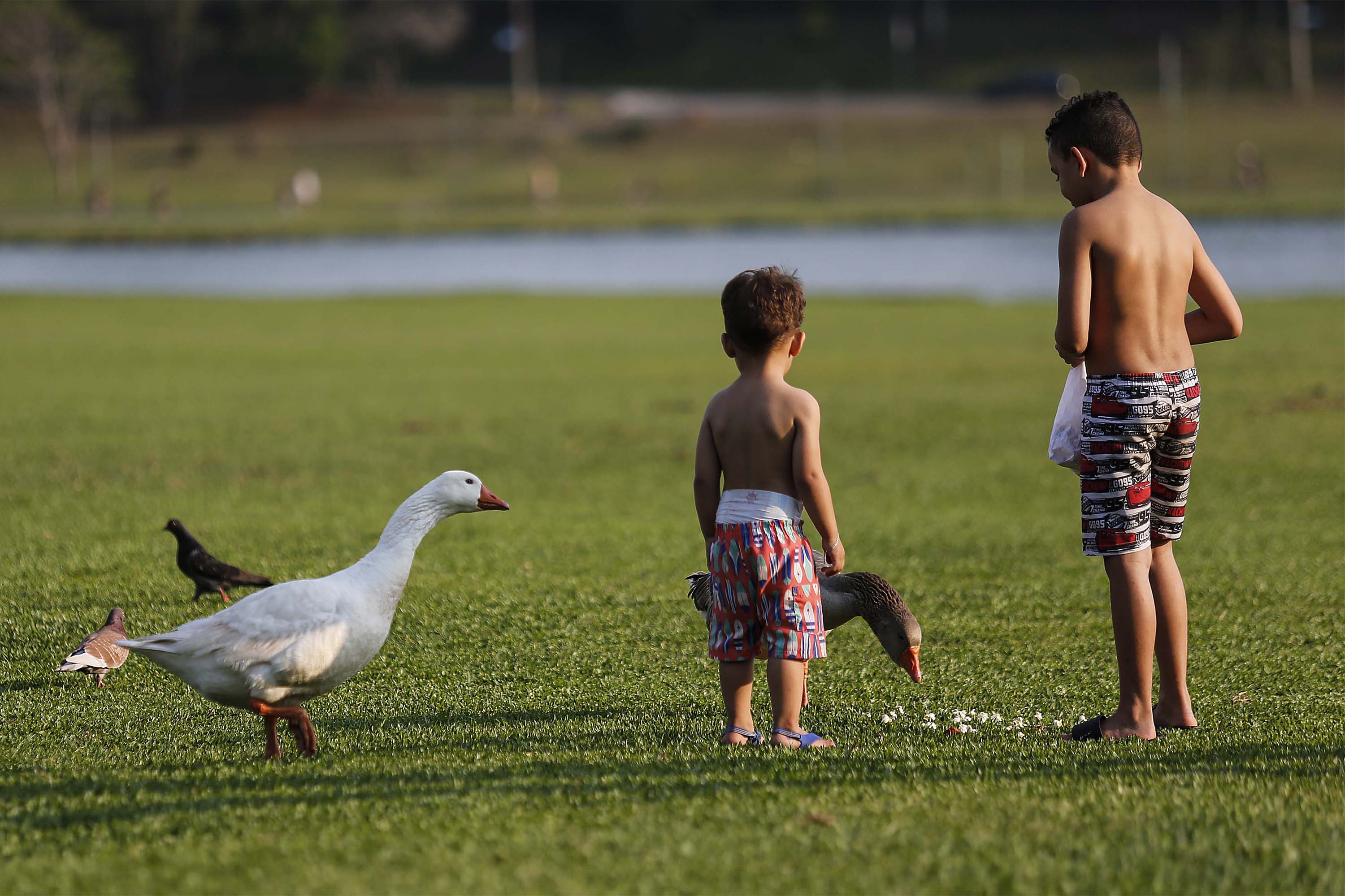Semana terá temperaturas elevadas e pancadas isoladas de chuva no Paraná