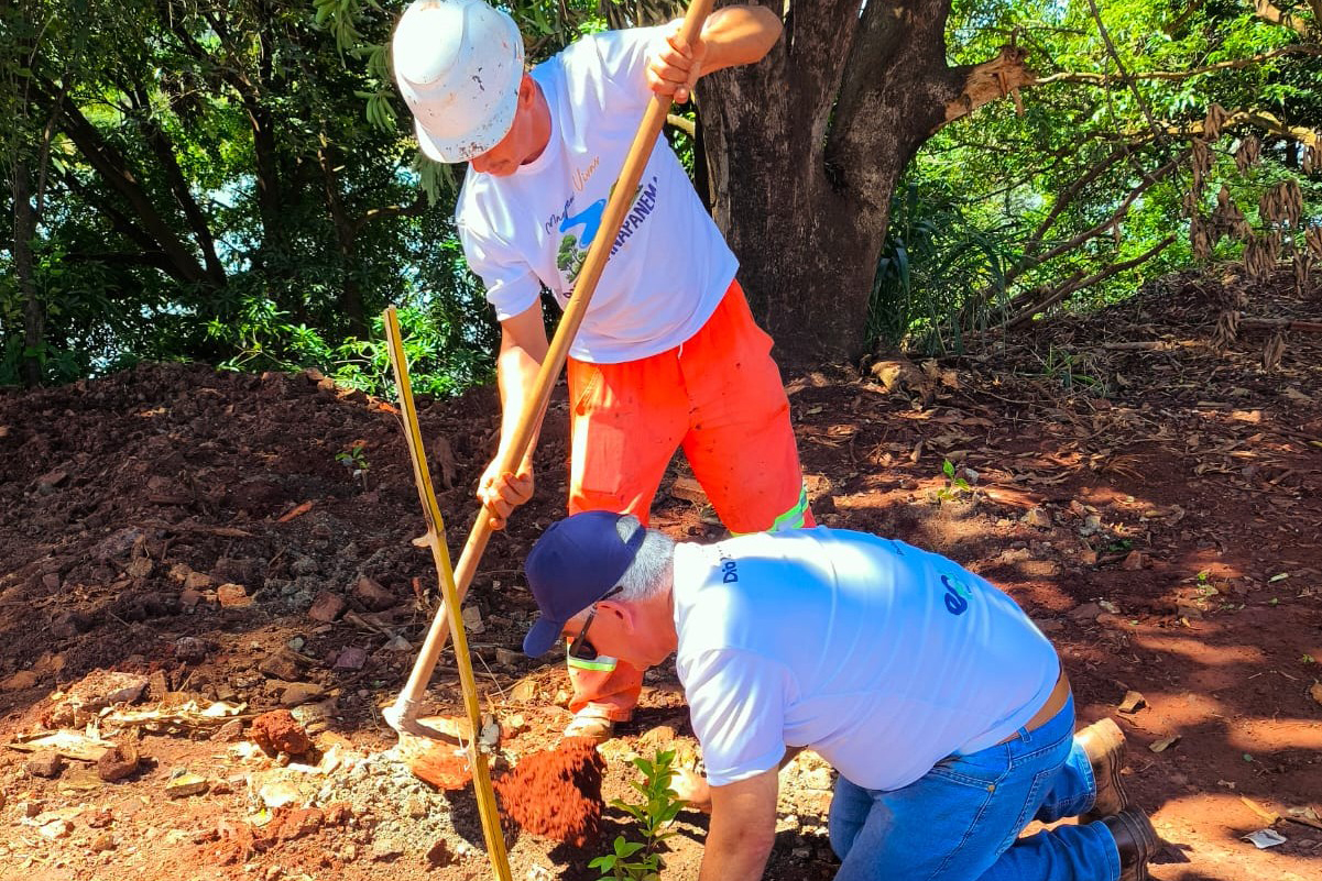 IAT e EPR Litoral Pioneiro promovem recuperação de mata ciliar no Rio Paranapanema