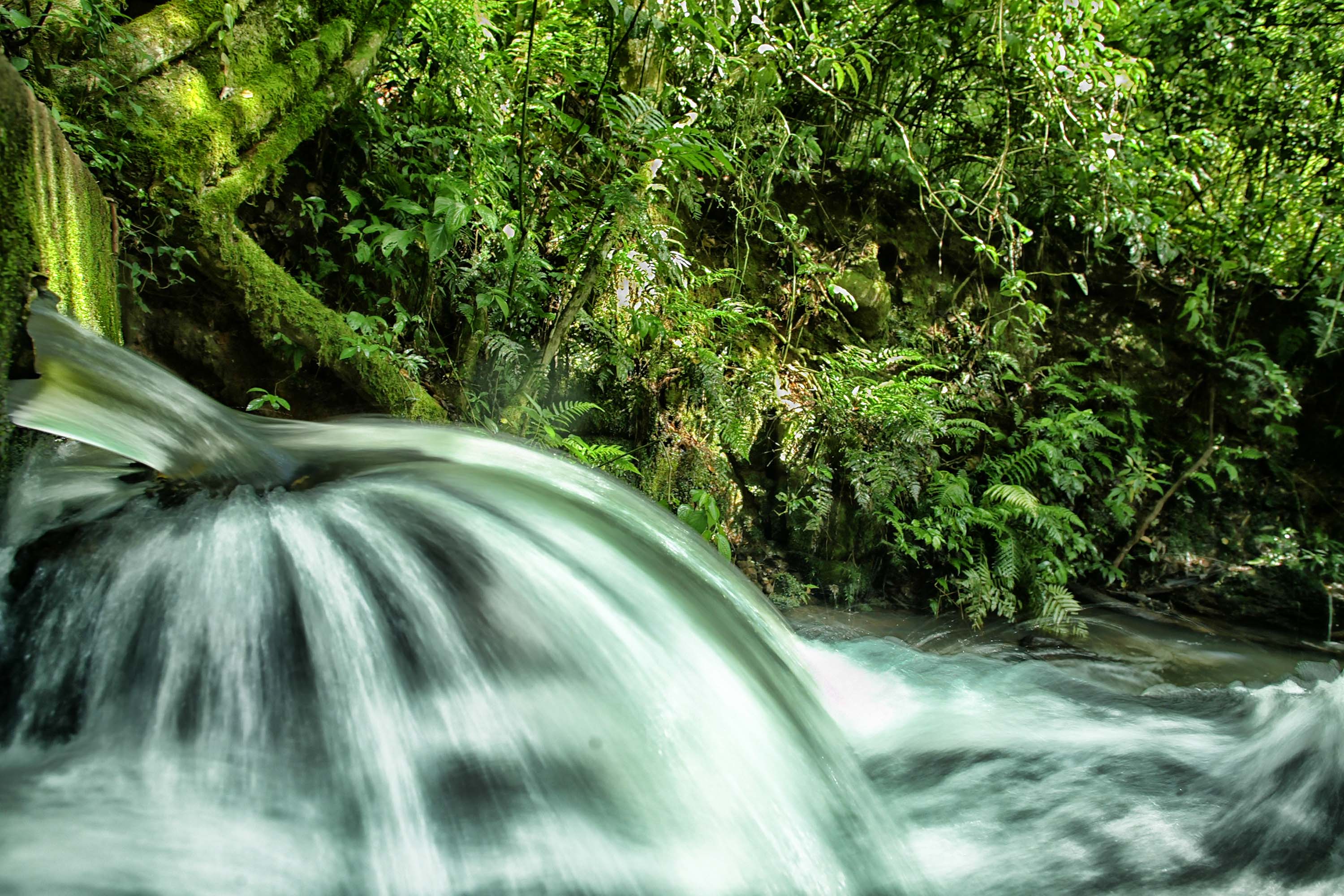ICMS Ecológico: IAT prorroga prazo para municípios apresentarem relatórios