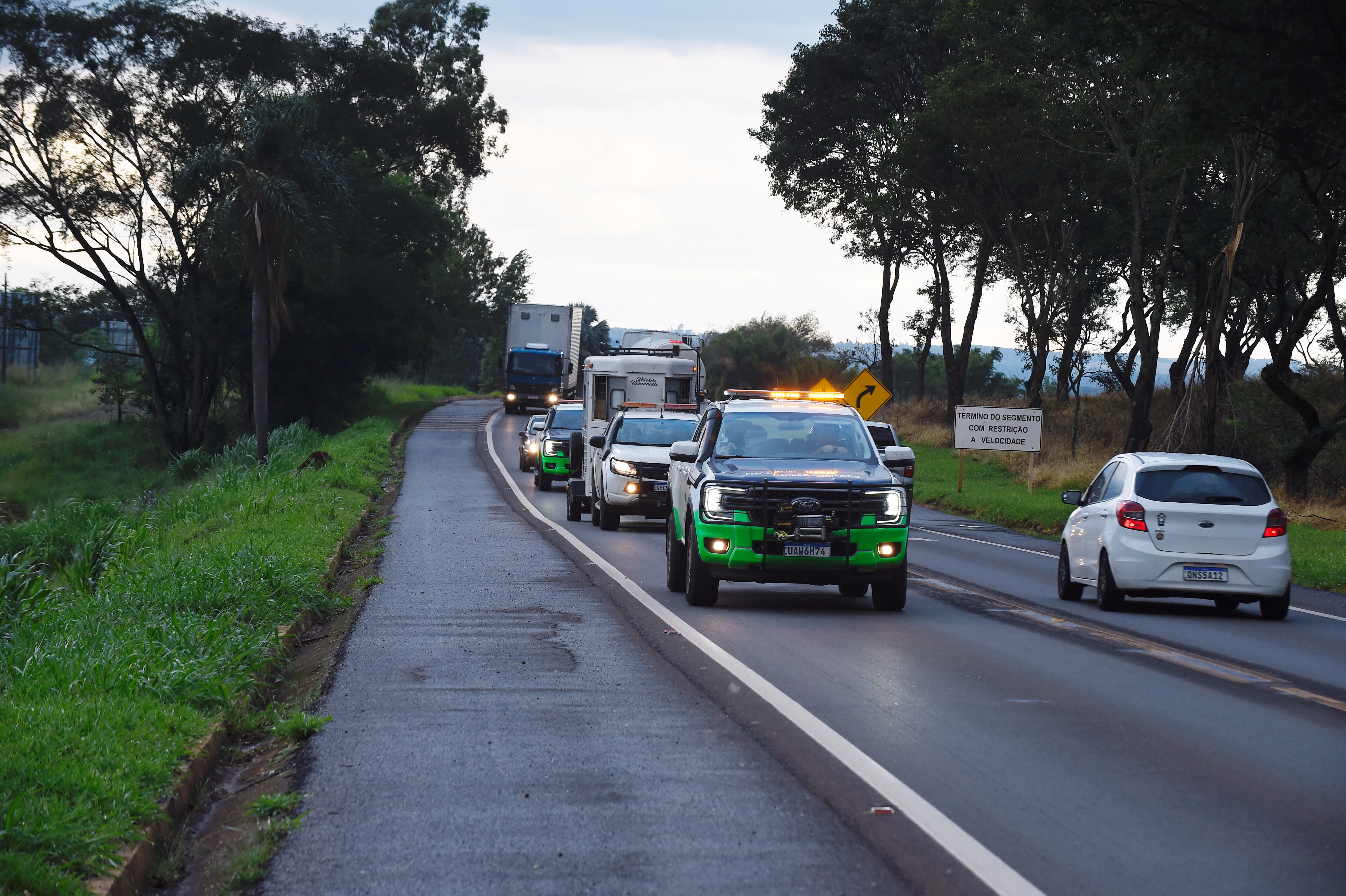 IAT resgata 29 cutias e 9 pacas de criadouro irregular em Cantagalo, no Centro-Sul