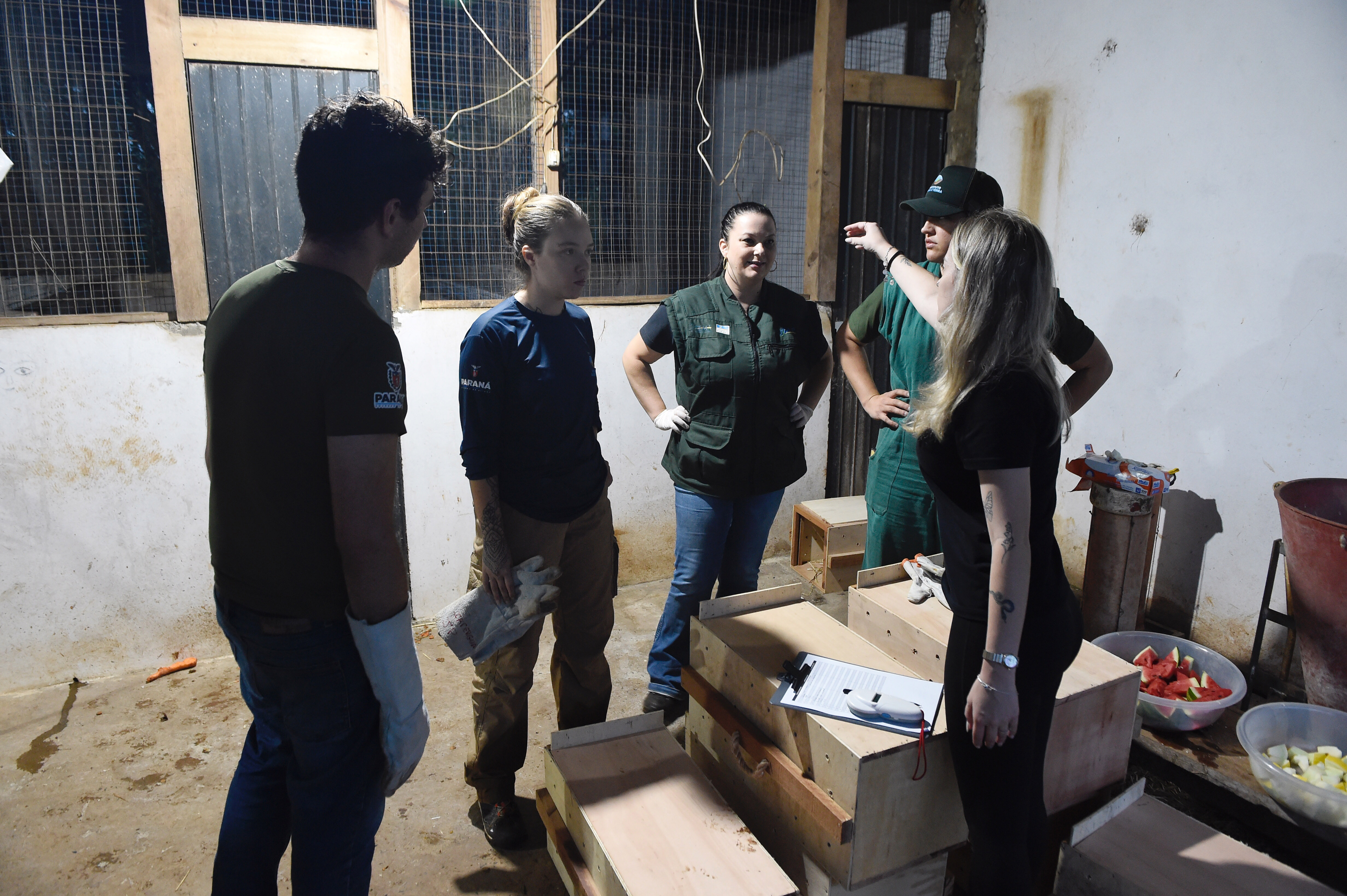 IAT resgata 29 cutias e 9 pacas de criadouro irregular em Cantagalo, no Centro-Sul